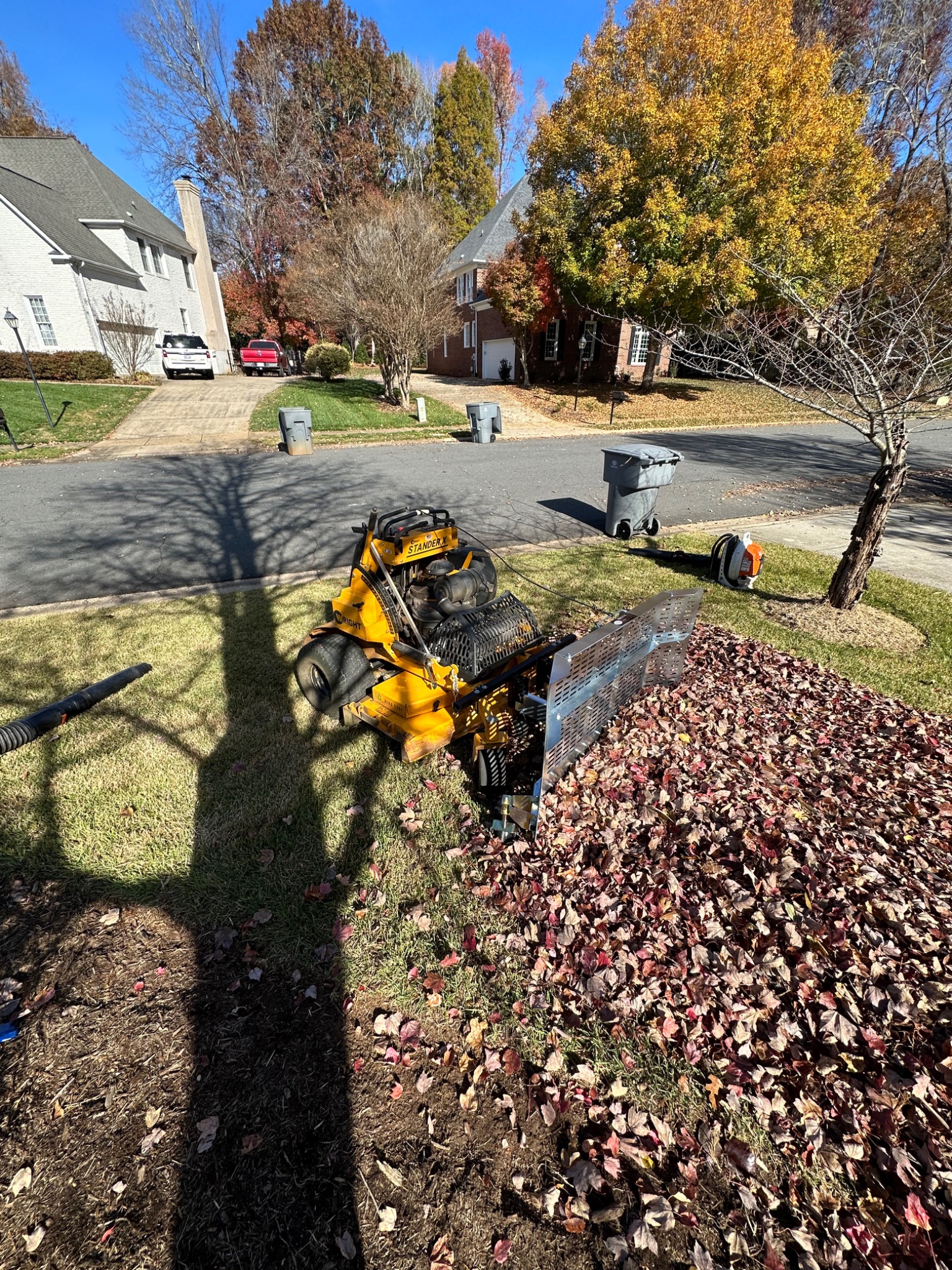 Seasonal cleanup