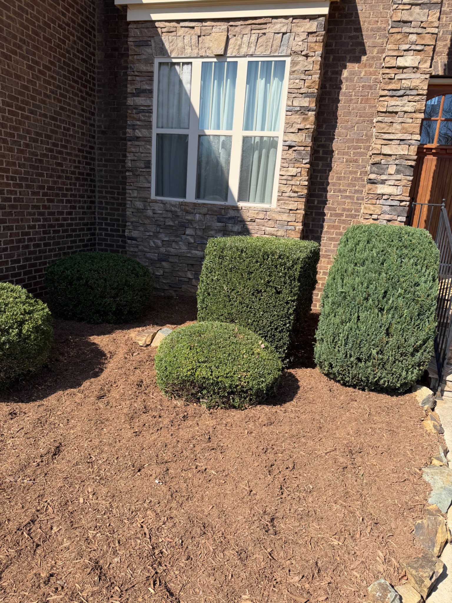 Shrub trimming